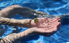 人与牲功ZZZXXXOOOO